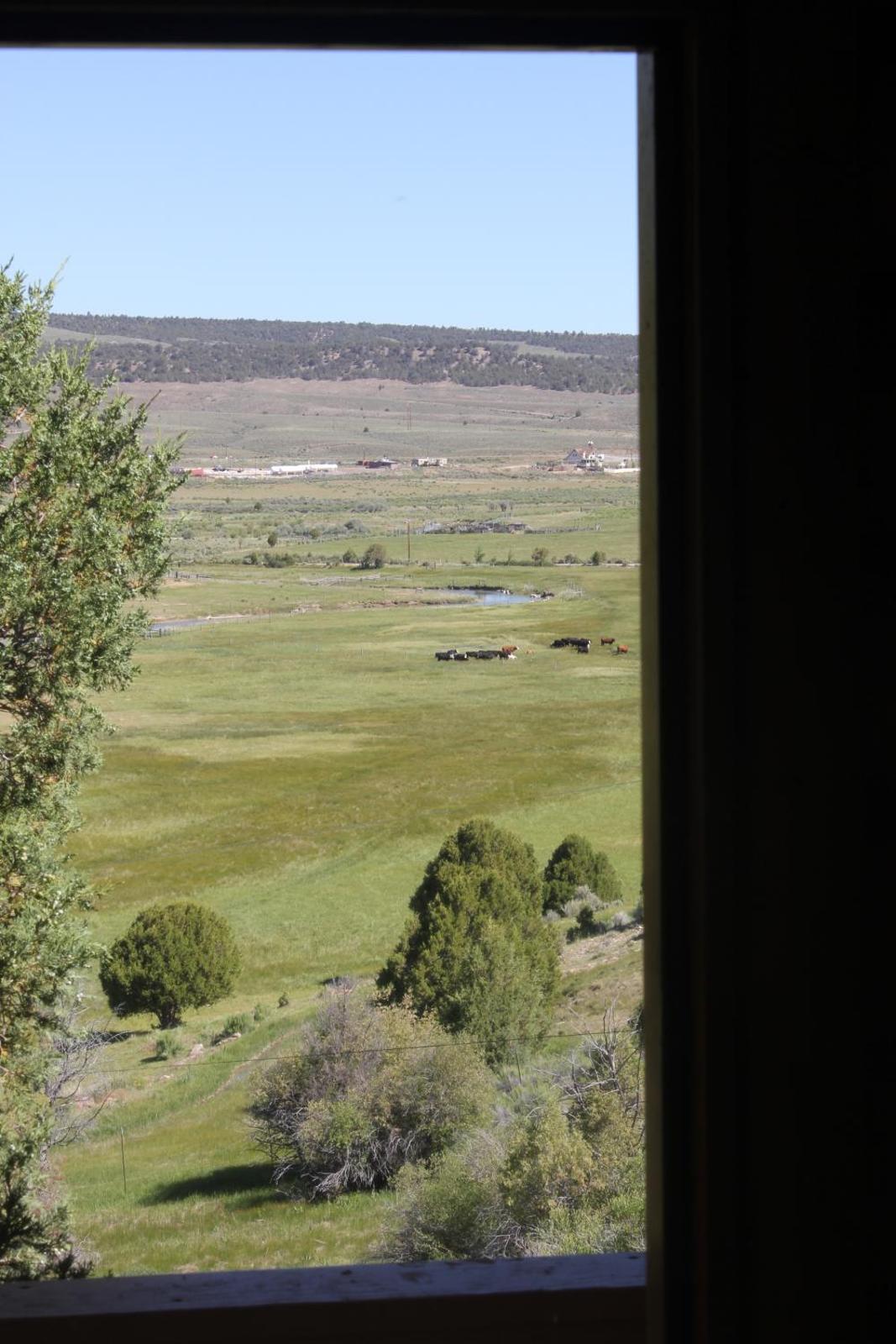 Sevier River Ranch & Cattle Company