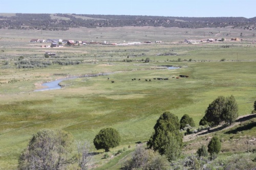 Sevier River Ranch & Cattle Company image 21