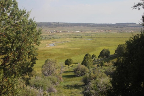 Sevier River Ranch & Cattle Company image 9